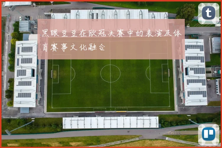 黑眼豆豆在欧冠决赛中的表演及体育赛事文化融合