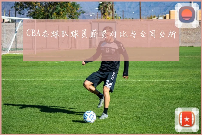 CBA各球队球员薪资对比与合同分析