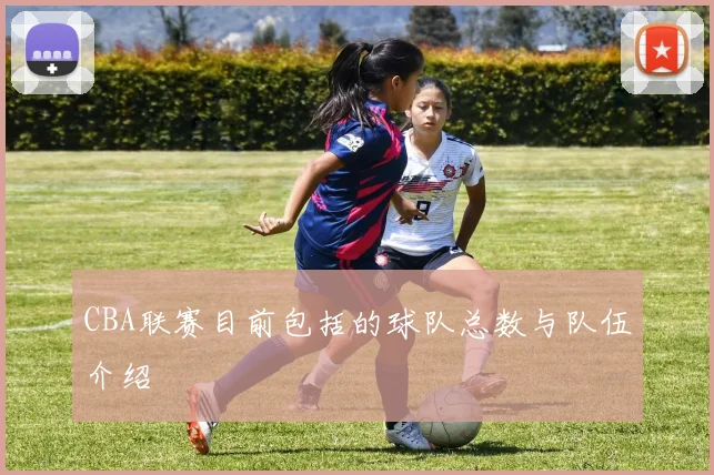 CBA联赛目前包括的球队总数与队伍介绍