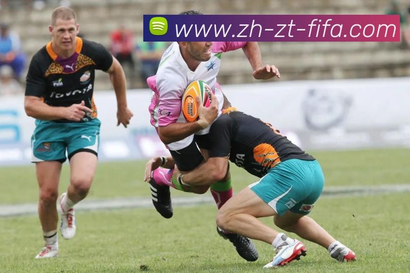 世界杯赛程平台生态图